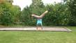 Healing knee joints